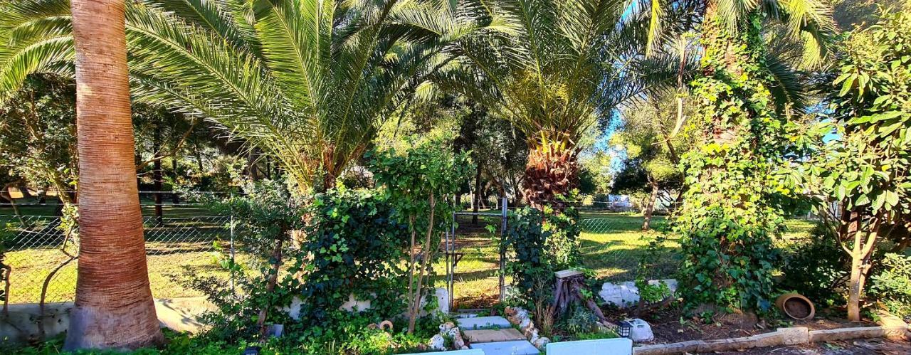 Dolce Vita Port de Alcudia  Dış mekan fotoğraf